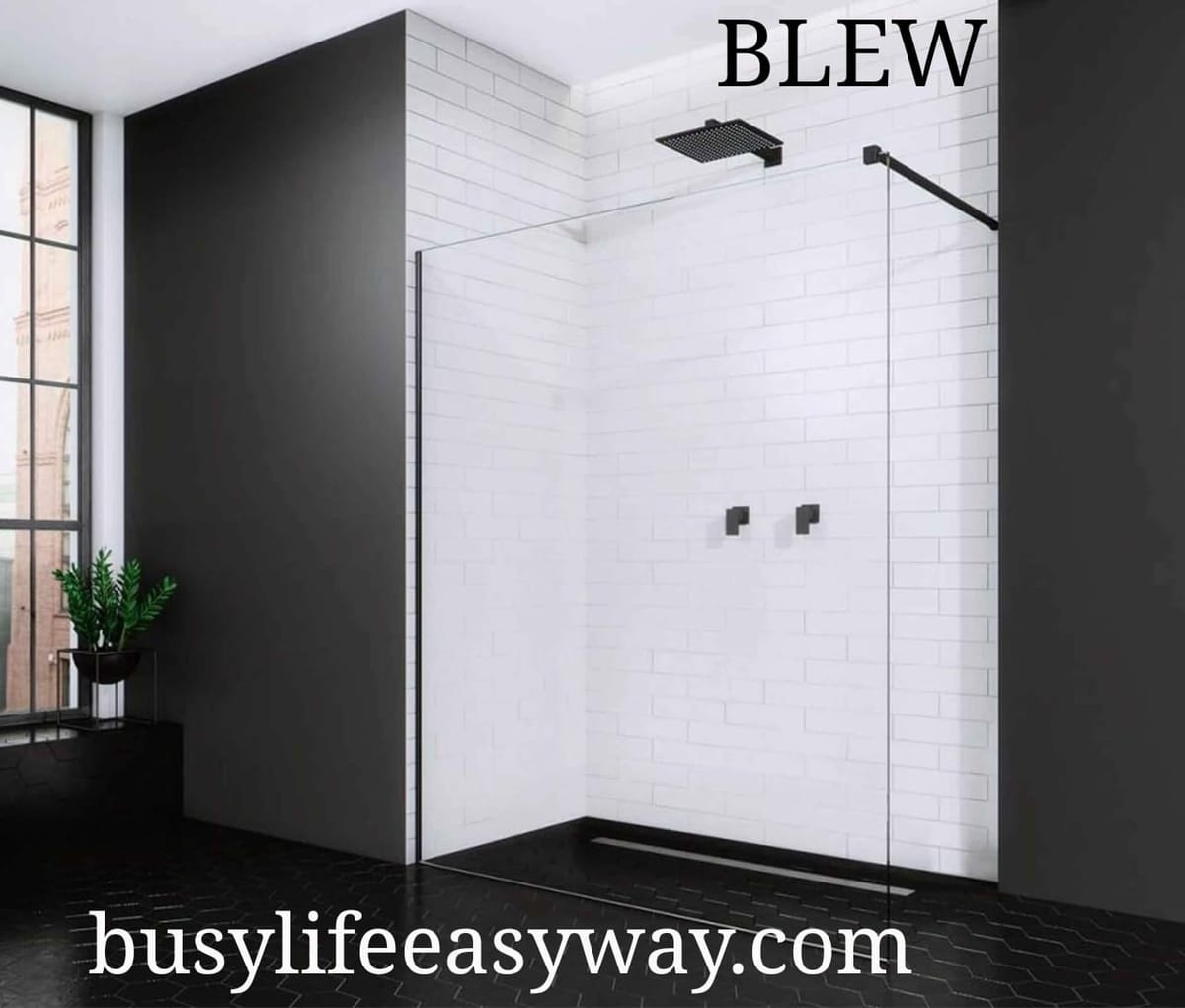 Black Shower Glass Partition